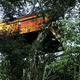 Illustration for article titled 13 Ingenious Treehouses That Go Out on a Limb